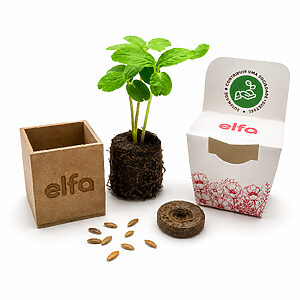 Kit Cultivo Plantio Personalizado