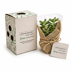 Kit Ecológico Plantinha Personalizado
