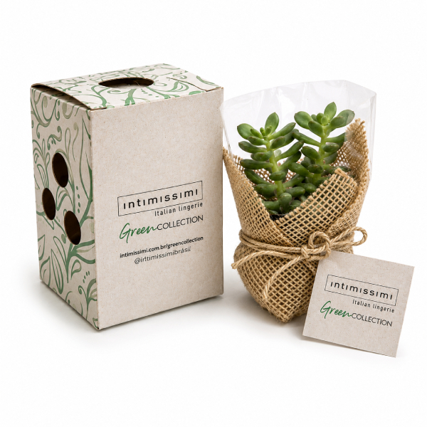 Kit Ecológico Plantinha Personalizado