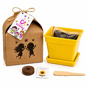 Kit Cultivo Kraft Personalizado