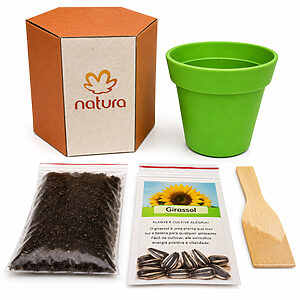 Kit Cultivo Semente Brindes Personalizado