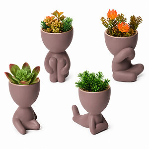 Kit 3 Vasos 10cm BBB Bob Criativo Suculentas